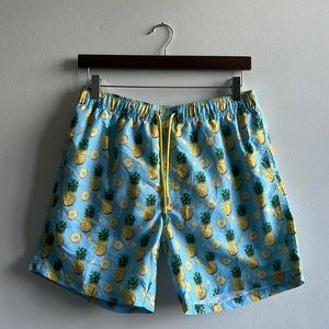 Pineapple Swim Trunks Frank’s NWT Medium